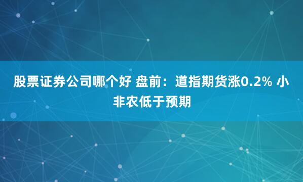 股票证券公司哪个好 盘前：道指期货涨0.2% 小非农低于预期