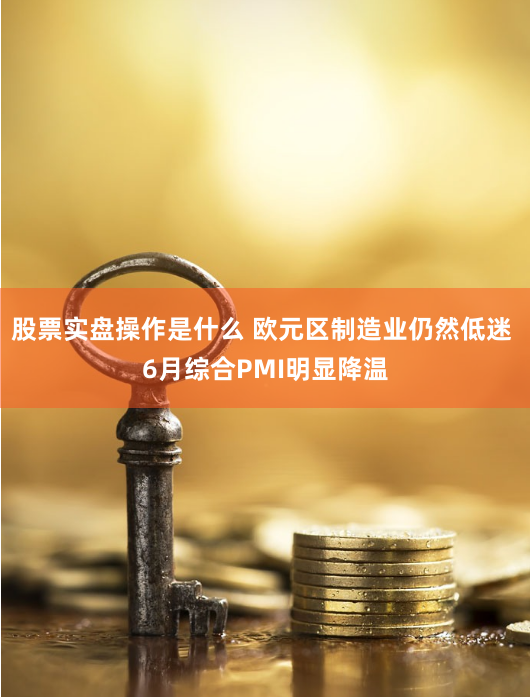 股票实盘操作是什么 欧元区制造业仍然低迷 6月综合PMI明显降温