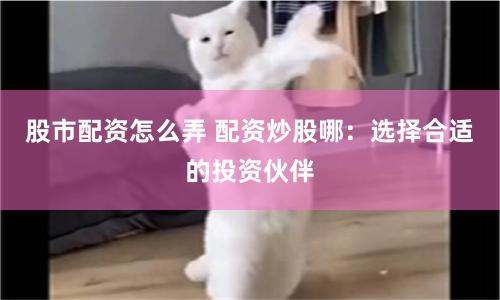 股市配资怎么弄 配资炒股哪：选择合适的投资伙伴