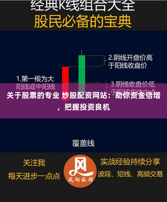 关于股票的专业 炒股配资网站：助你资金倍增，把握投资良机