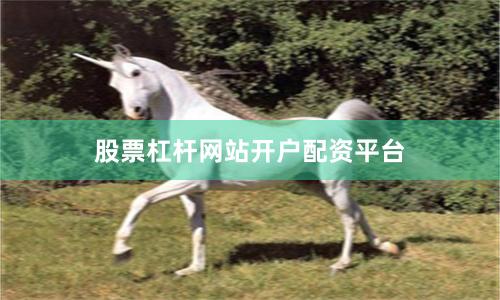 股票杠杆网站开户配资平台